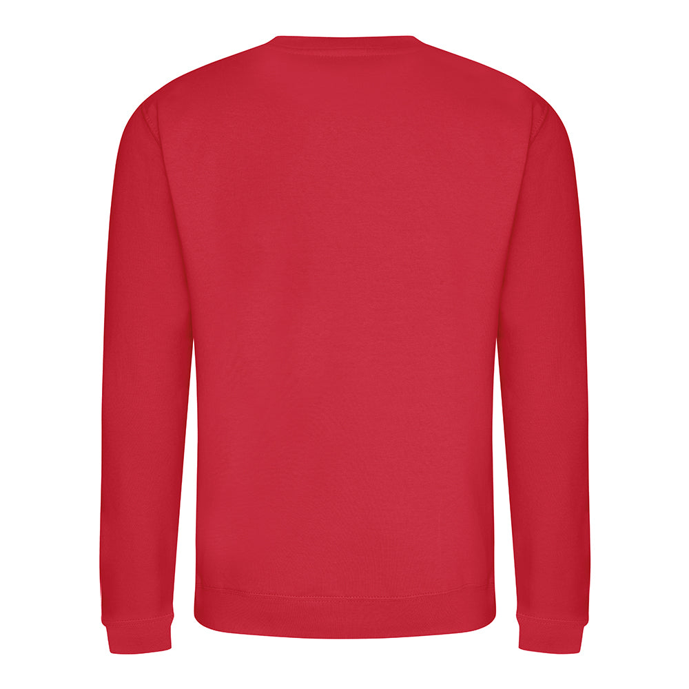 Custom Sweatshirt – Print or Embroidery